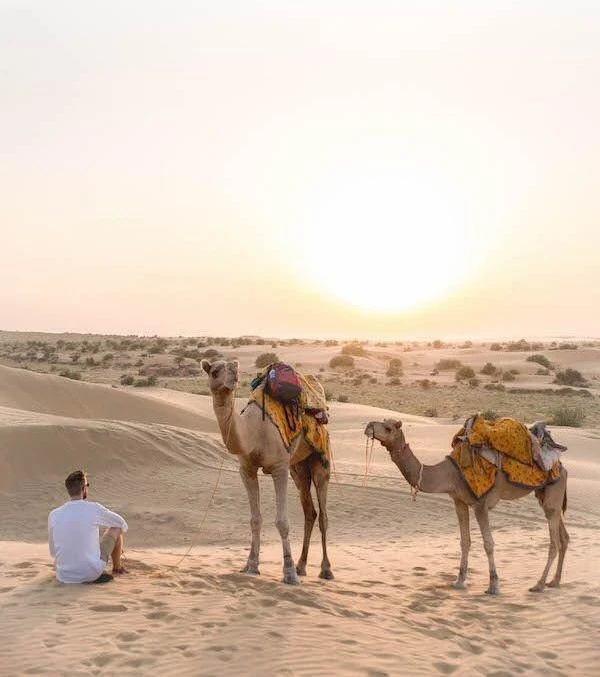 Camel Safari In Jaisalmer